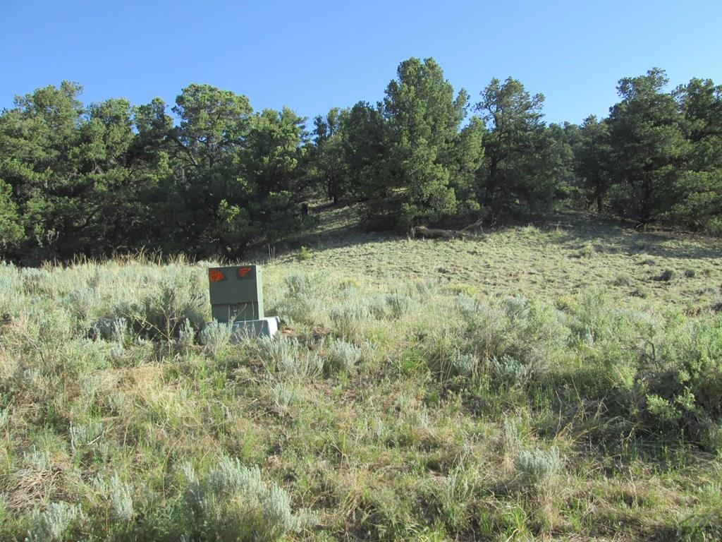 Lot #2 Milligan Ranch Gardner, CO 81040 - Photo 20 of 35 a view of a yard
