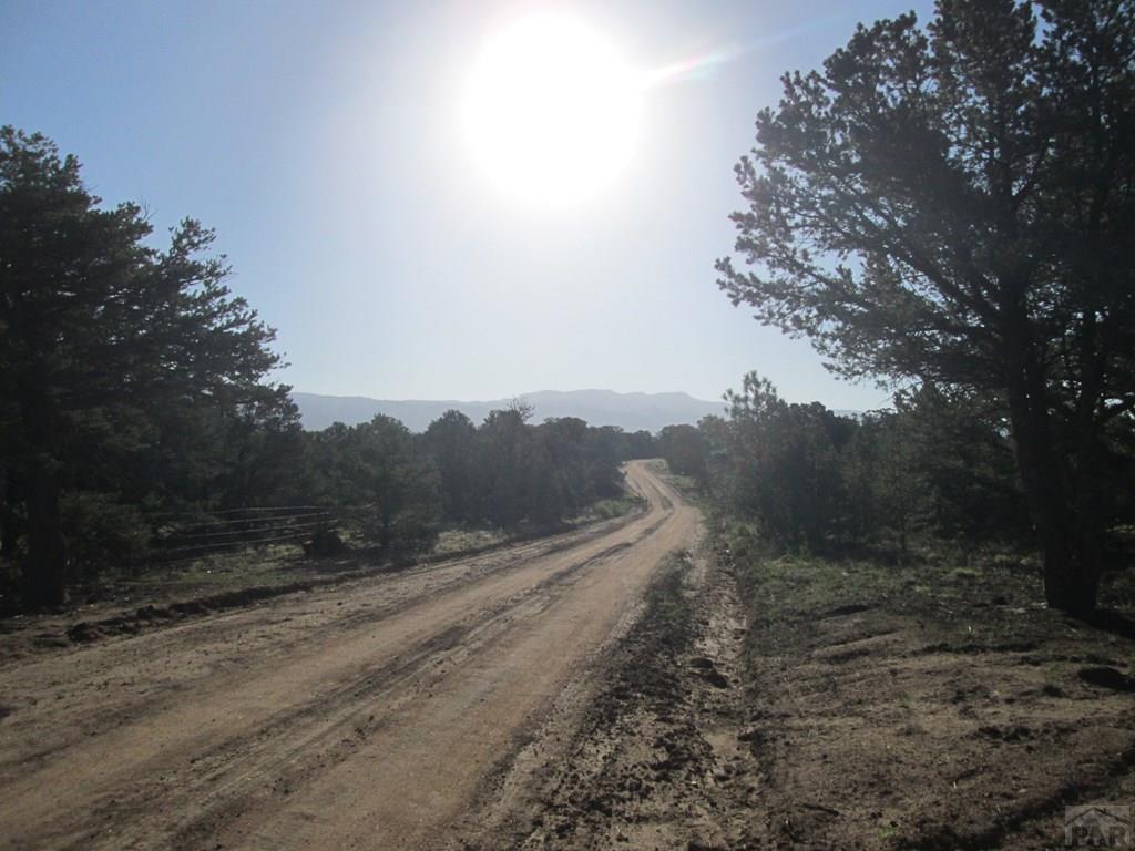 Lot #2 Milligan Ranch Gardner, CO 81040 - Photo 23 of 35 a view of a road with mountain view