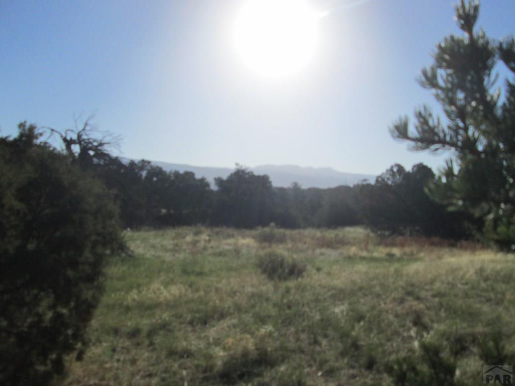 Lot #2 Milligan Ranch Gardner, CO 81040 - Photo 24 of 35