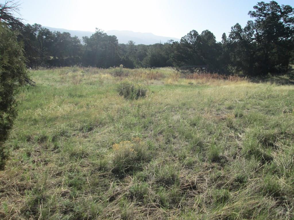 Lot #2 Milligan Ranch Gardner, CO 81040 - Photo 25 of 35 a view of a forest with trees in the background
