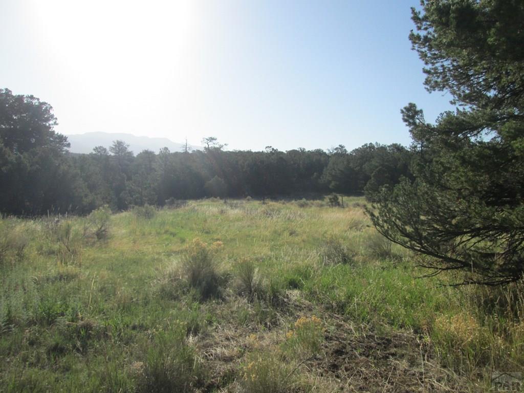 Lot #2 Milligan Ranch Gardner, CO 81040 - Photo 30 of 35 a view of a mountain in the distance in a field
