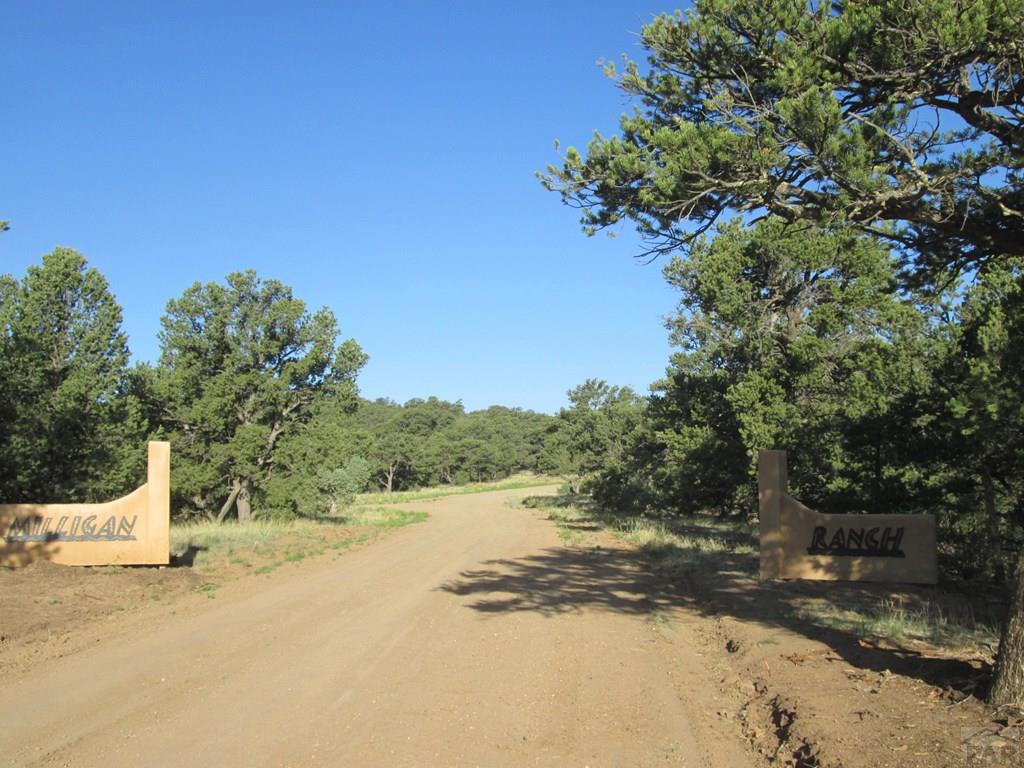 Lot #2 Milligan Ranch Gardner, CO 81040 - Photo 3 of 35 a view of a yard with a tree