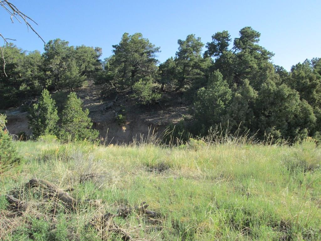 Lot #2 Milligan Ranch Gardner, CO 81040 - Photo 33 of 35 a view of a yard