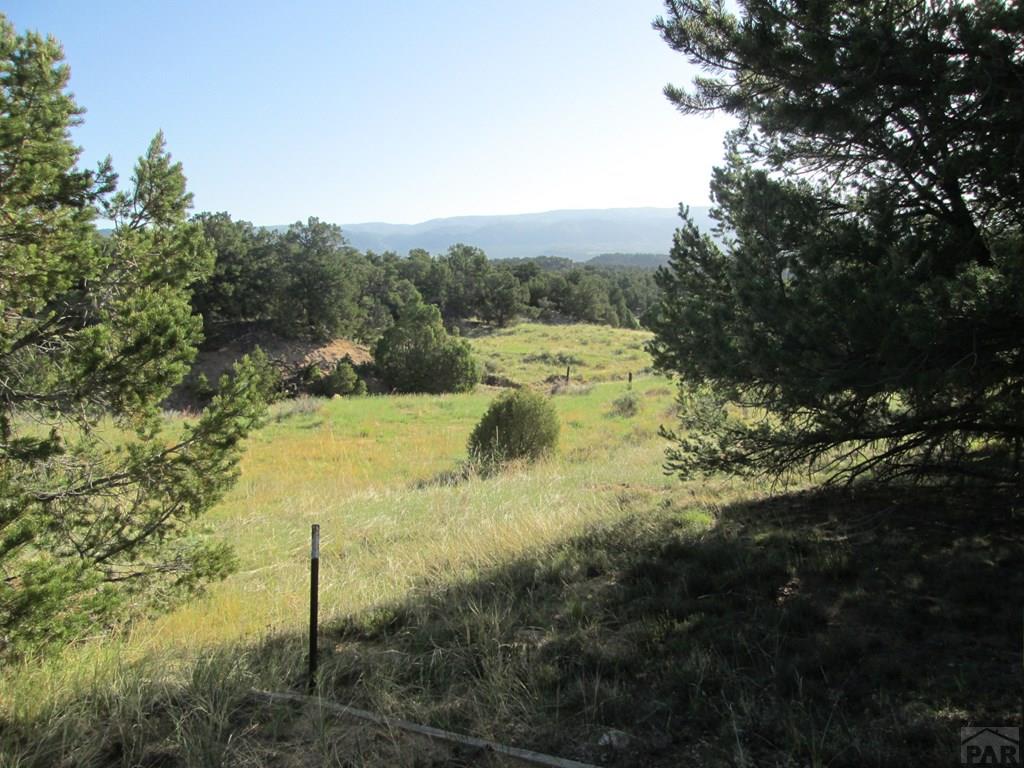 Lot #2 Milligan Ranch Gardner, CO 81040 - Photo 35 of 35 a view of a yard with a tree