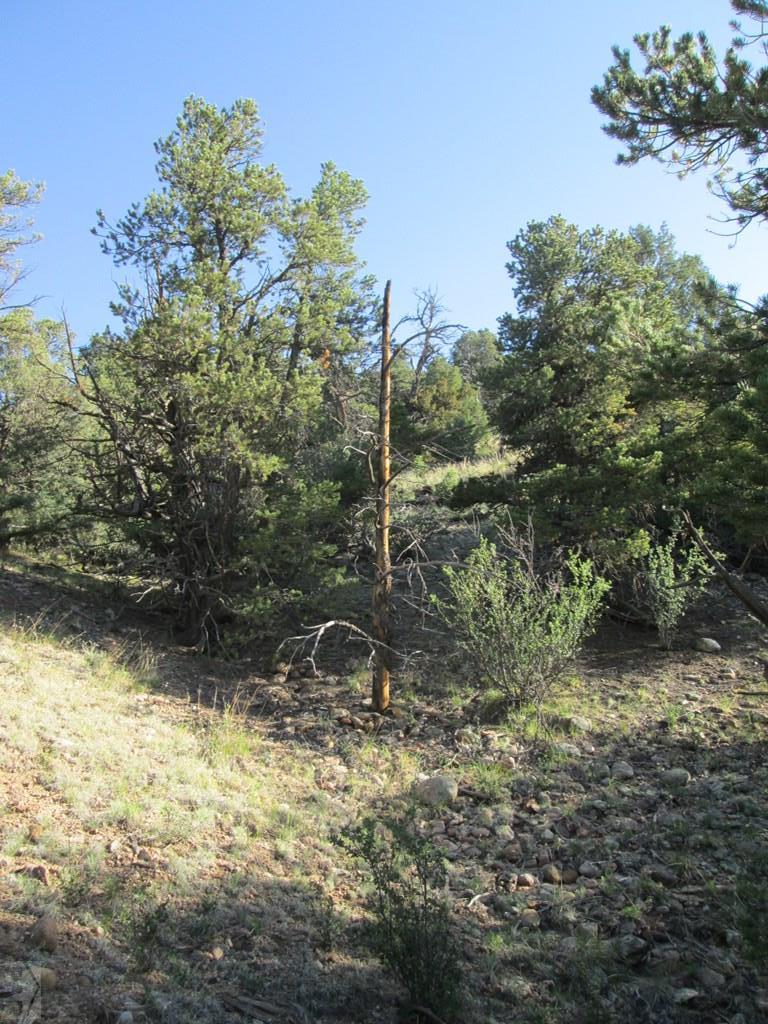 Lot #2 Milligan Ranch Gardner, CO 81040 - Photo 9 of 35 a view of a lake with a tree