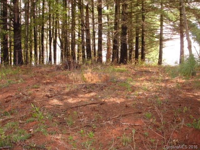 999999 Thickety Road Clyde, NC 28721 - Photo 1 of 8