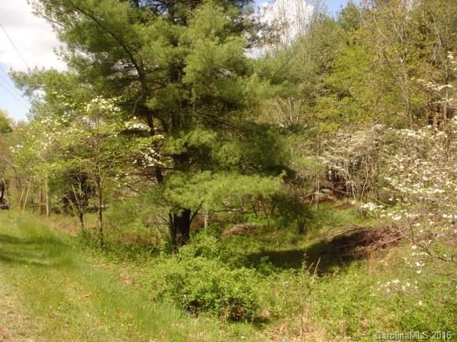 999999 Thickety Road Clyde, NC 28721 - Photo 2 of 8
