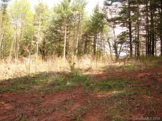 999999 Thickety Road Clyde, NC 28721 - Photo 3 of 8