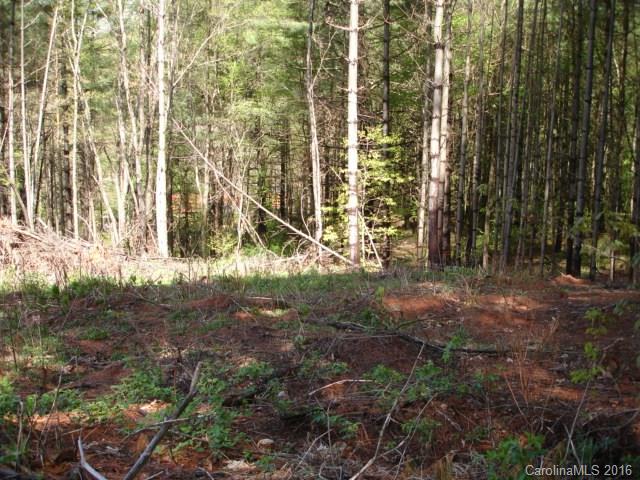 999999 Thickety Road Clyde, NC 28721 - Photo 4 of 8