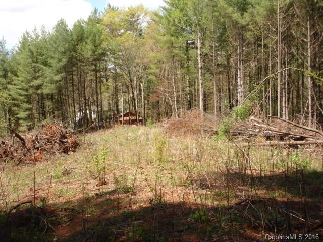 999999 Thickety Road Clyde, NC 28721 - Photo 5 of 8