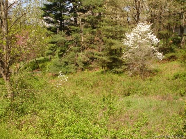 999999 Thickety Road Clyde, NC 28721 - Photo 6 of 8