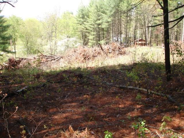 999999 Thickety Road Clyde, NC 28721 - Photo 7 of 8