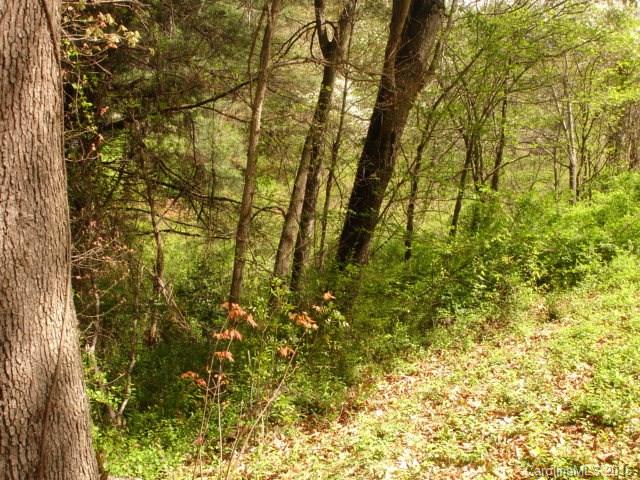 999999 Thickety Road Clyde, NC 28721 - Photo 8 of 8