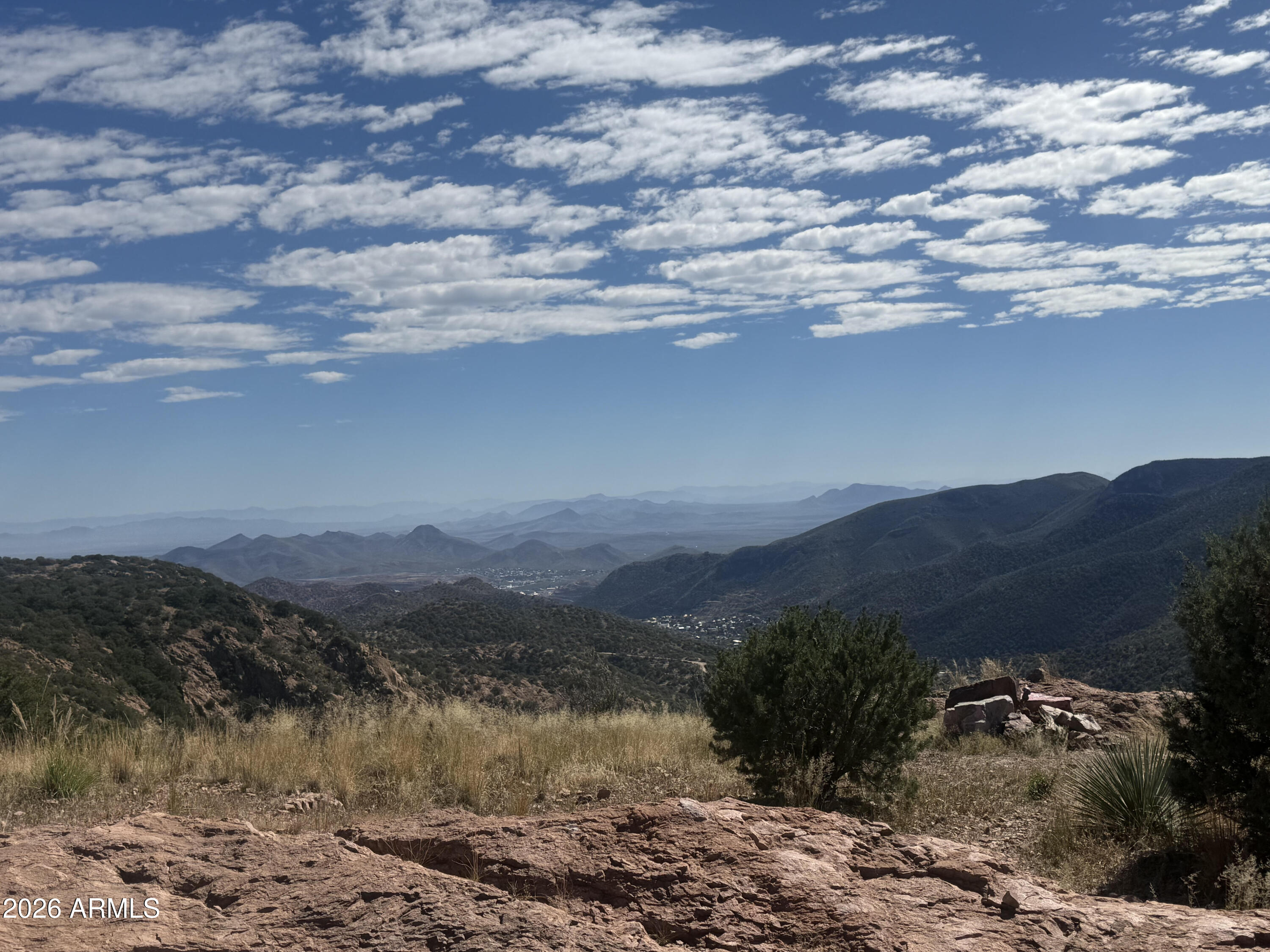 a view of a lake in middle of forest