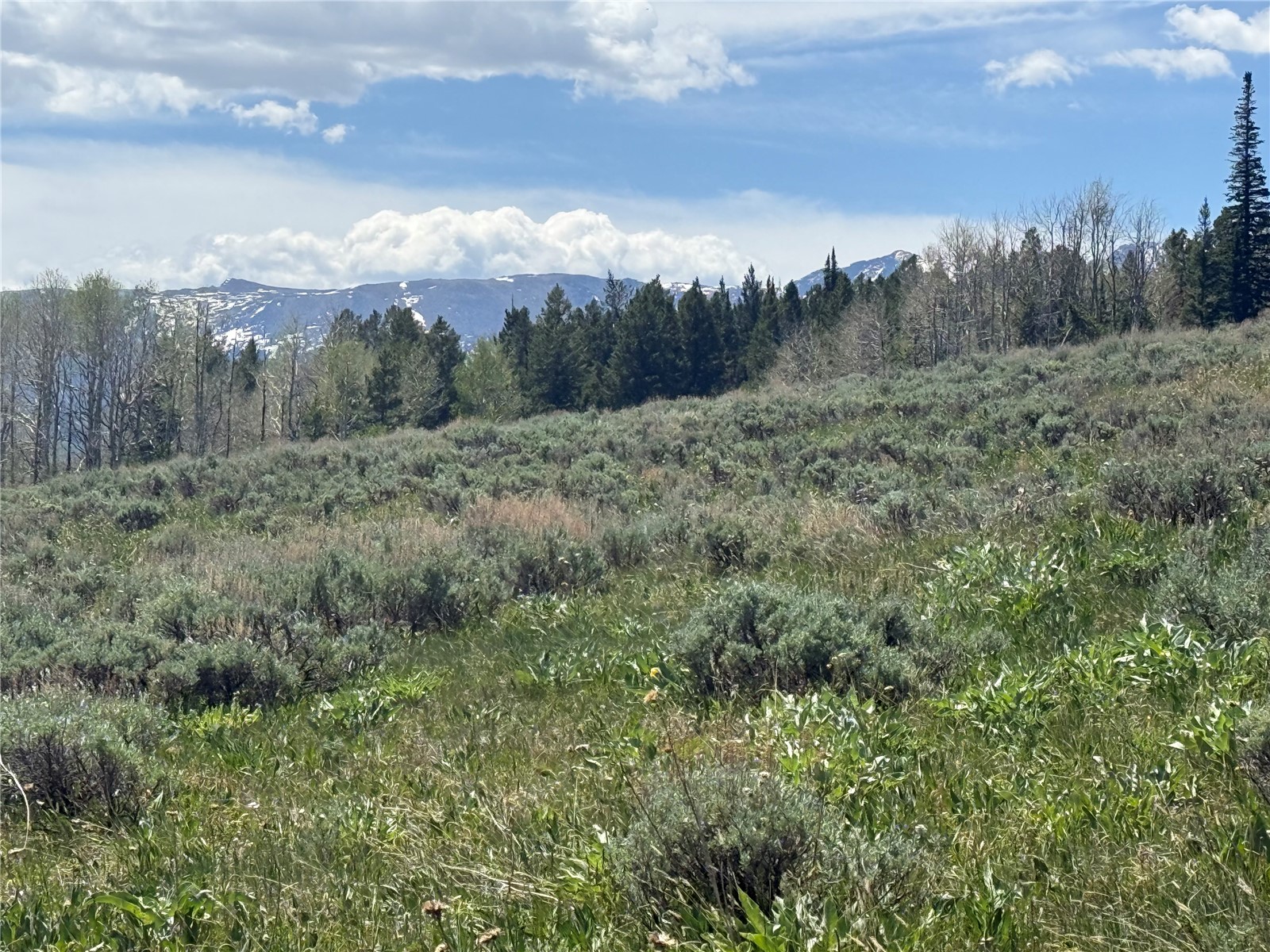 Tbd Spring Creek Ranch Road Silverthorne, CO 80498 - Photo 44 of 48