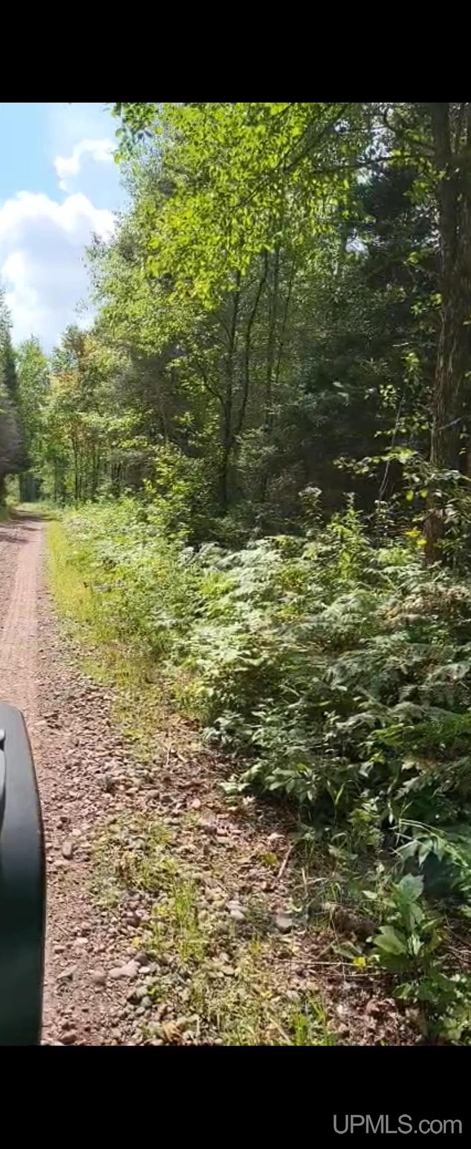 Tbd East Tbd E Siding Road Iron River, MI 49935 - Photo 5 of 5