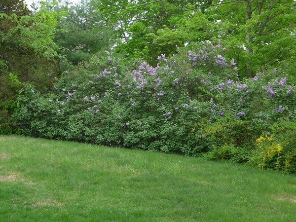 80 Norris Road Tyngsborough, MA 01879 - Photo 28 of 30 Gallery Image 28