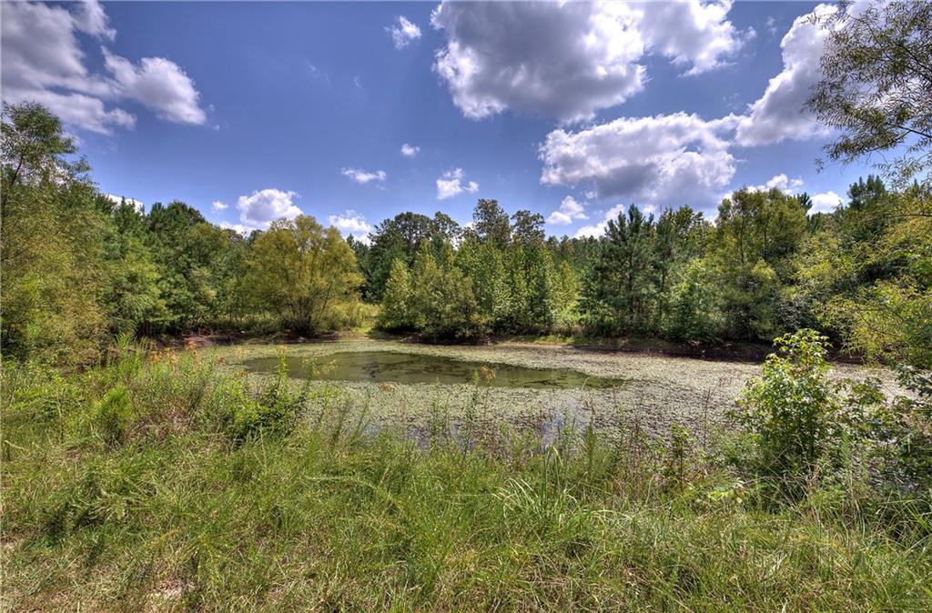 810 Cornelius Road Cedartown, GA 30125 - Photo 1 of 1 Gallery Image 1
