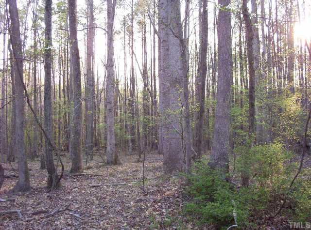 0 Cassam Road Bahama, NC 27503 - Photo 6 of 10 a view of a forest