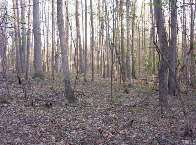 0 Cassam Road Bahama, NC 27503 - Photo 9 of 10 a view of a backyard with large trees