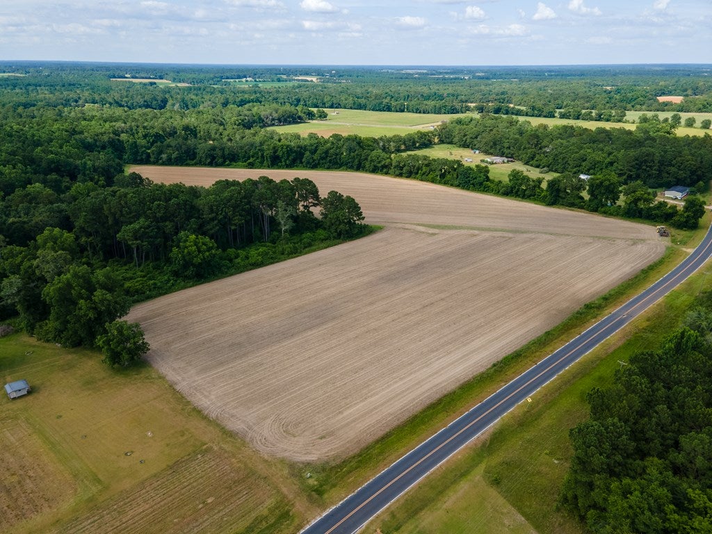 0 John Buck McCoy Road Moultrie, GA 31788 - Photo 3 of 11 Gallery Image 3