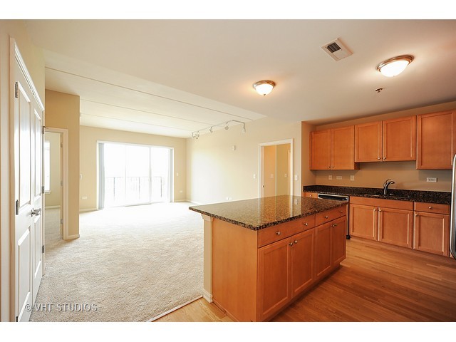1199 East Port Clinton Road, Unit 306 Vernon Hills, IL 60061 - Photo 3 of 18