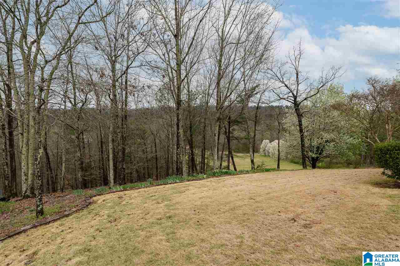 7540 Aspen Ridge Drive Pinson, AL 35126 - Photo 19 of 19