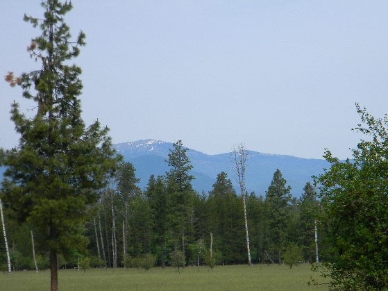 1 Off Leclerc Road Usk, WA 99180 - Photo 14 of 17 Gallery Image 14