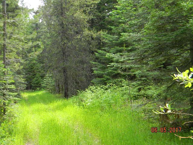 1 Off Leclerc Road Usk, WA 99180 - Photo 9 of 17 Gallery Image 9