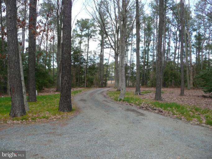 775 Cook Point Road Cambridge, MD 21613 - Photo 2 of 30 Driveway