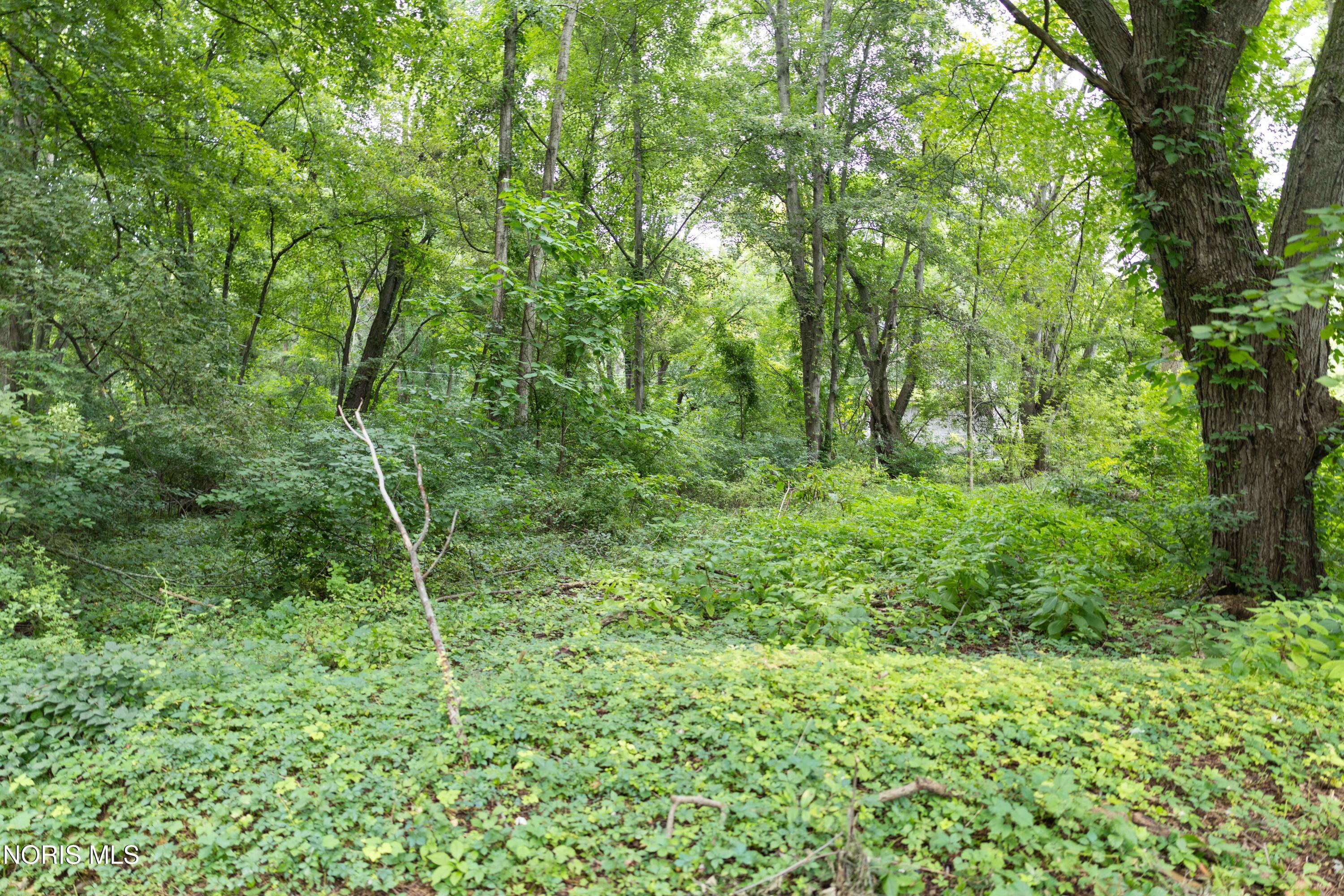6036 Meade Road Sylvania, OH 43560 - Photo 1 of 1 Gallery Image 1