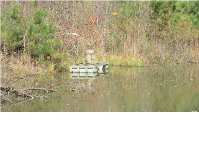 100 Barton Ferry Road Grayson, KY 41143 - Photo 3 of 20 Additional Photo