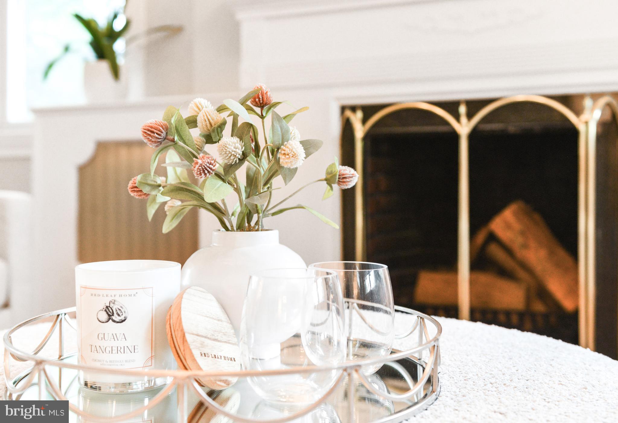 205 Upper College Terrace Frederick, MD 21701 - Photo 26 of 120 Fantastic fireplace