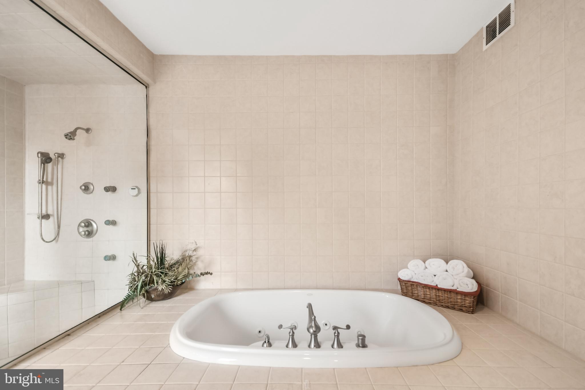 205 Upper College Terrace Frederick, MD 21701 - Photo 64 of 120 Soaking tub