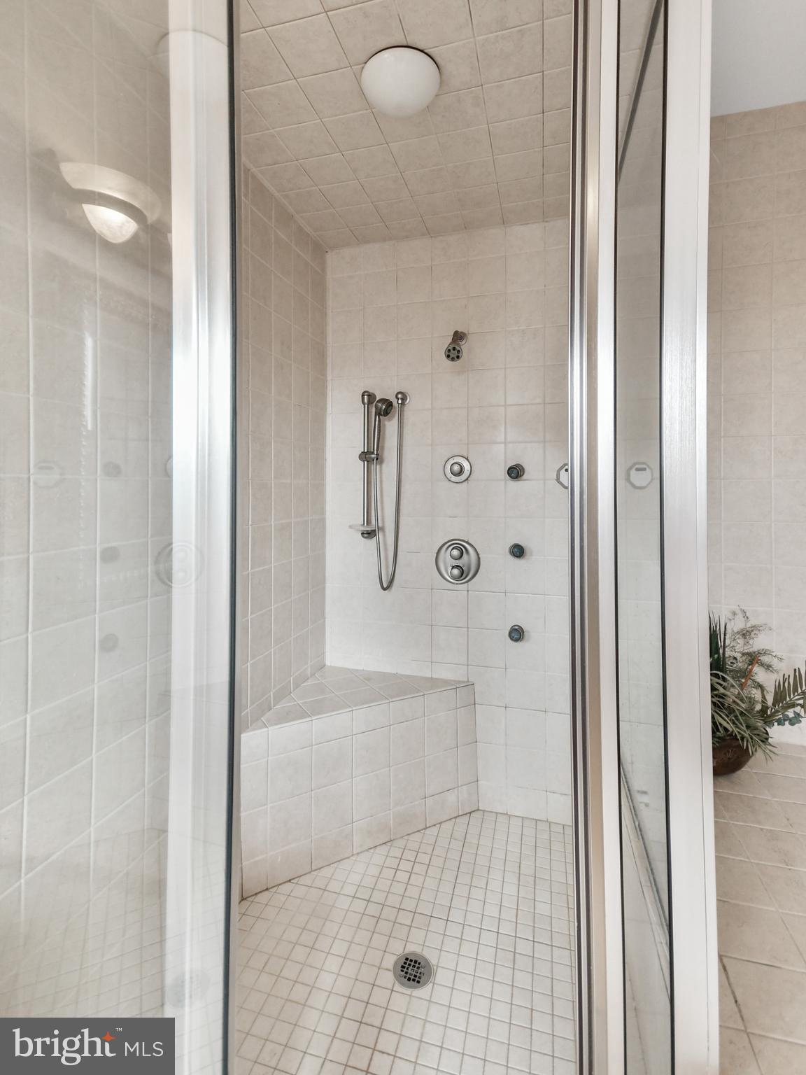 205 Upper College Terrace Frederick, MD 21701 - Photo 67 of 120 Primary shower