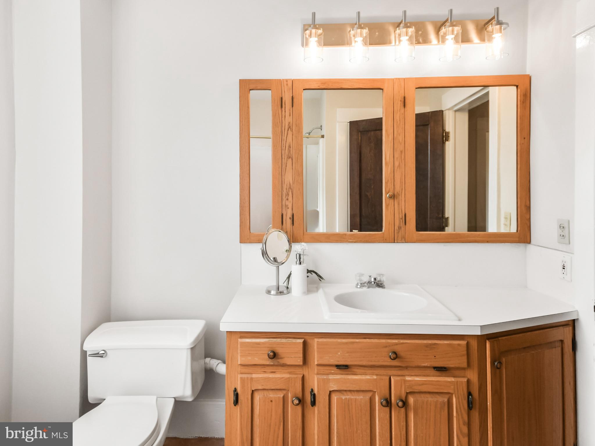 205 Upper College Terrace Frederick, MD 21701 - Photo 74 of 120 Hall bath