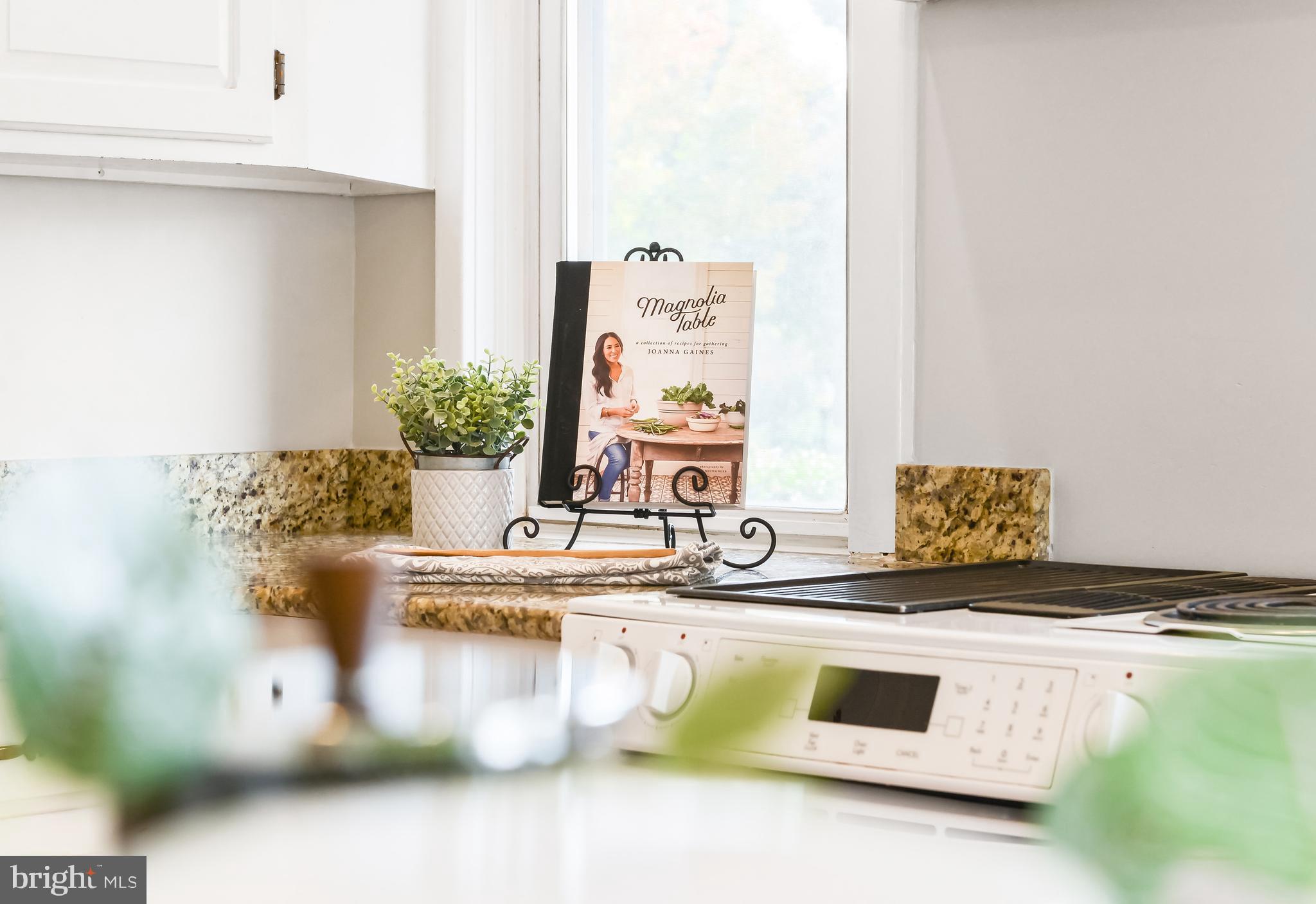 205 Upper College Terrace Frederick, MD 21701 - Photo 100 of 120 Stove