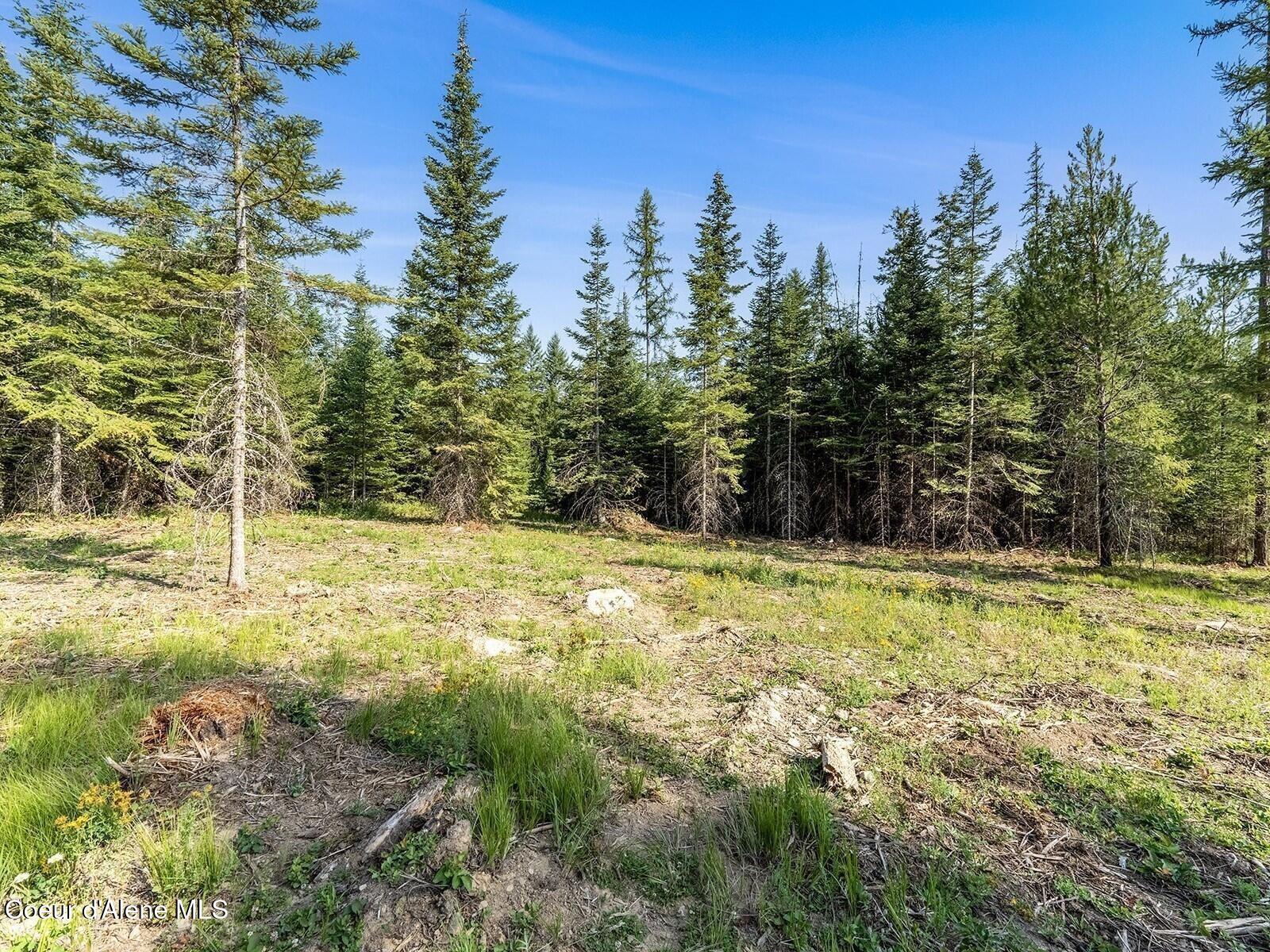 1 Leonard Loop Athol, ID 83801 - Photo 14 of 24 View to West