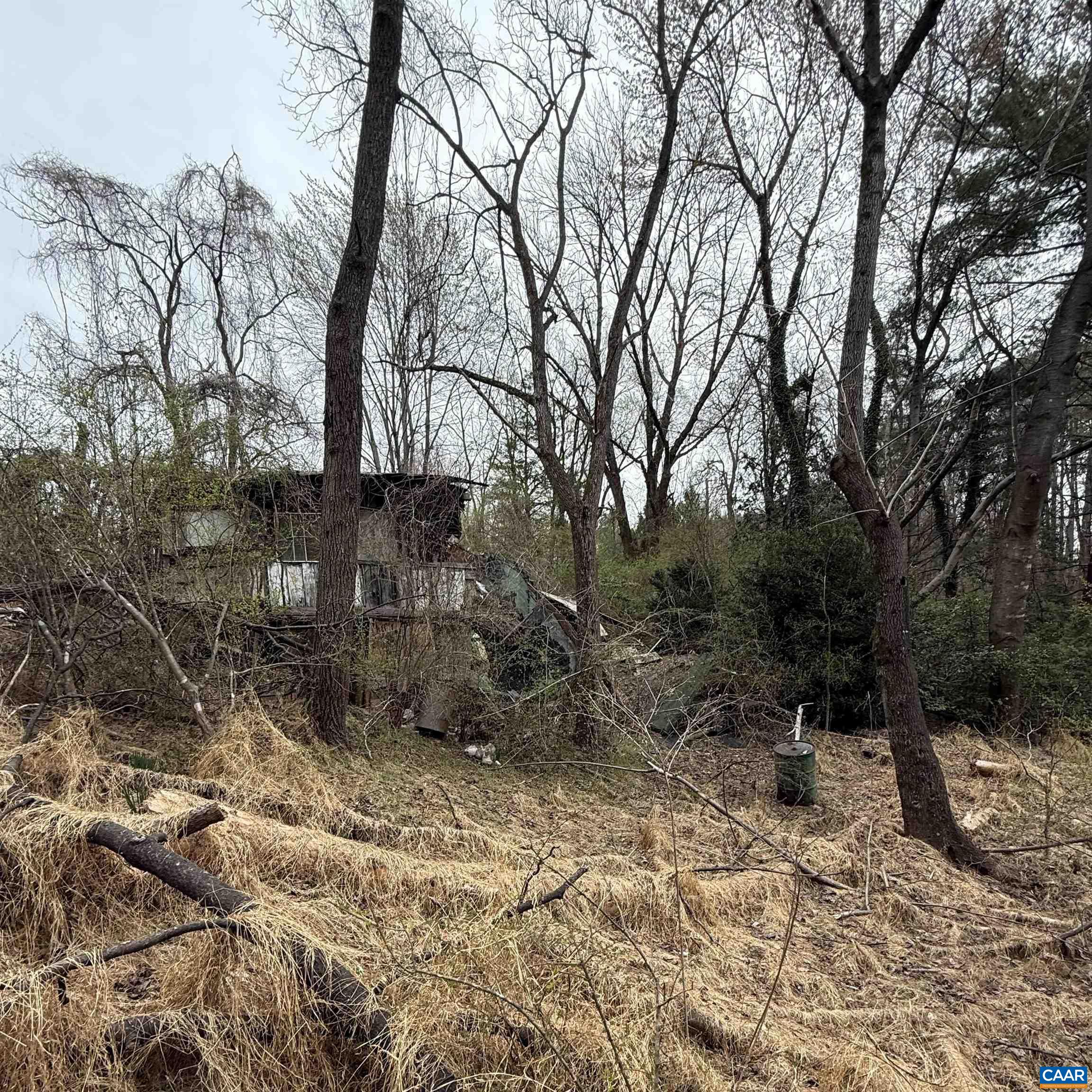 6133 Plank Road Afton, VA 22920 - Photo 4 of 10