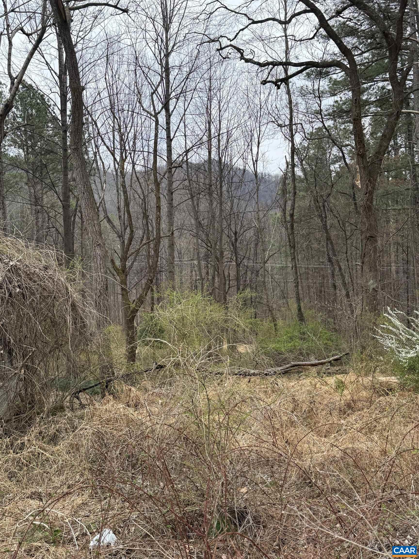 6133 Plank Road Afton, VA 22920 - Photo 5 of 10