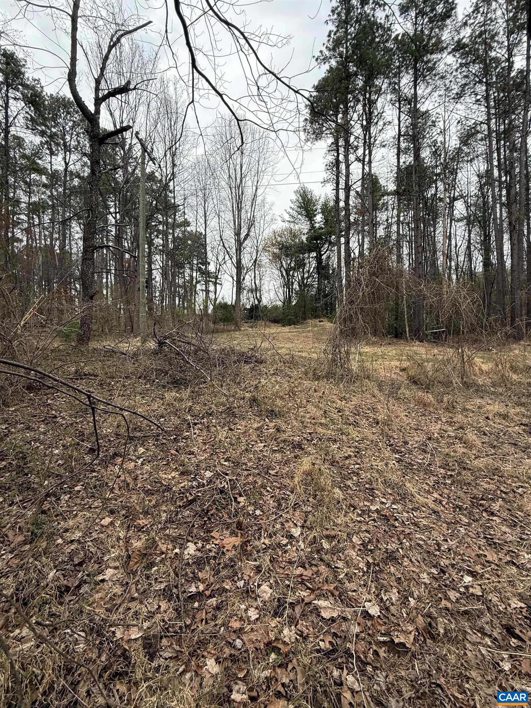 6133 Plank Road Afton, VA 22920 - Photo 8 of 10