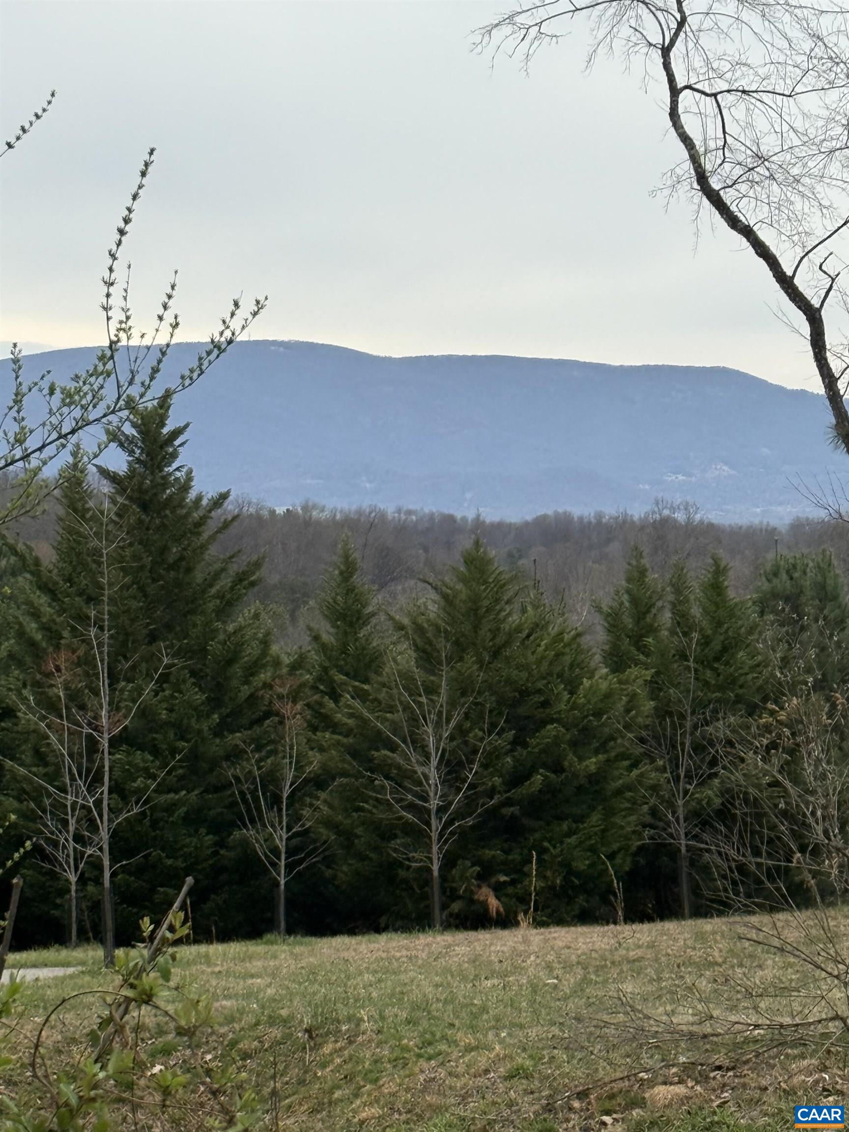 6133 Plank Road Afton, VA 22920 - Photo 9 of 10