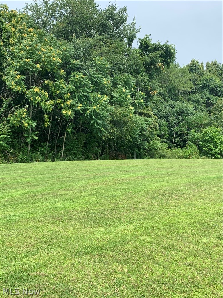 37401 Morrow Road Scio, OH 43988 - Photo 20 of 25 Gallery Image 20