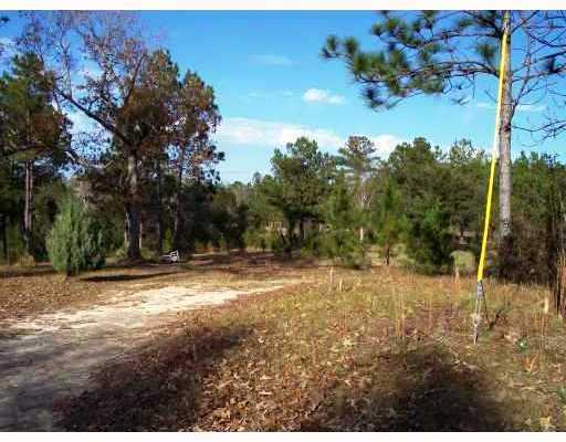 247 Lucas Road Lucedale, MS 39452 - Photo 2 of 8 Additional Photo