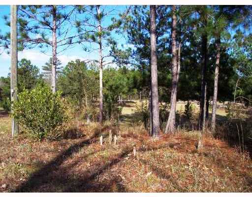 247 Lucas Road Lucedale, MS 39452 - Photo 5 of 8 Additional Photo