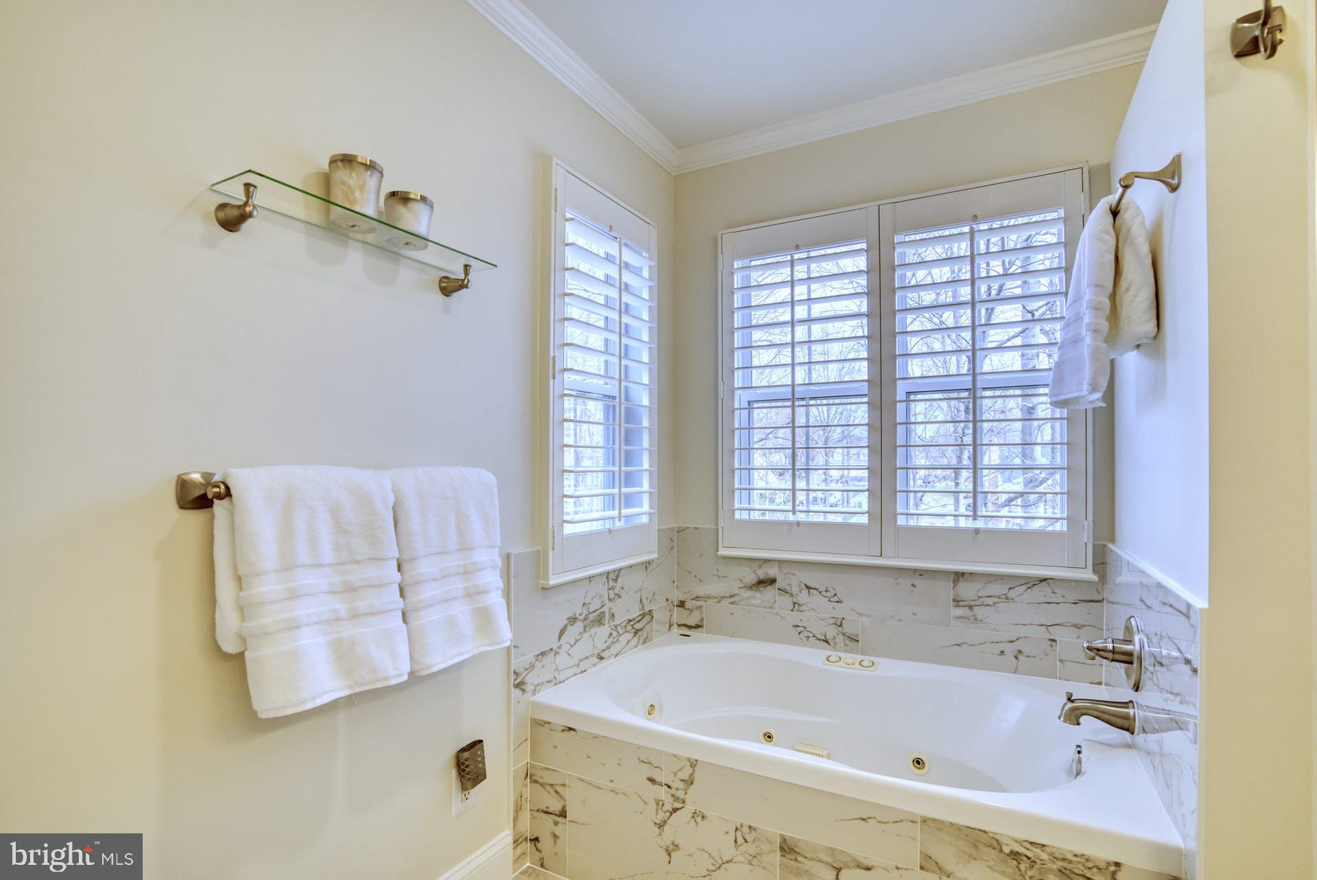 1201 Wild Hawthorn Way Reston, VA 20194 - Photo 21 of 36 Primary Bath