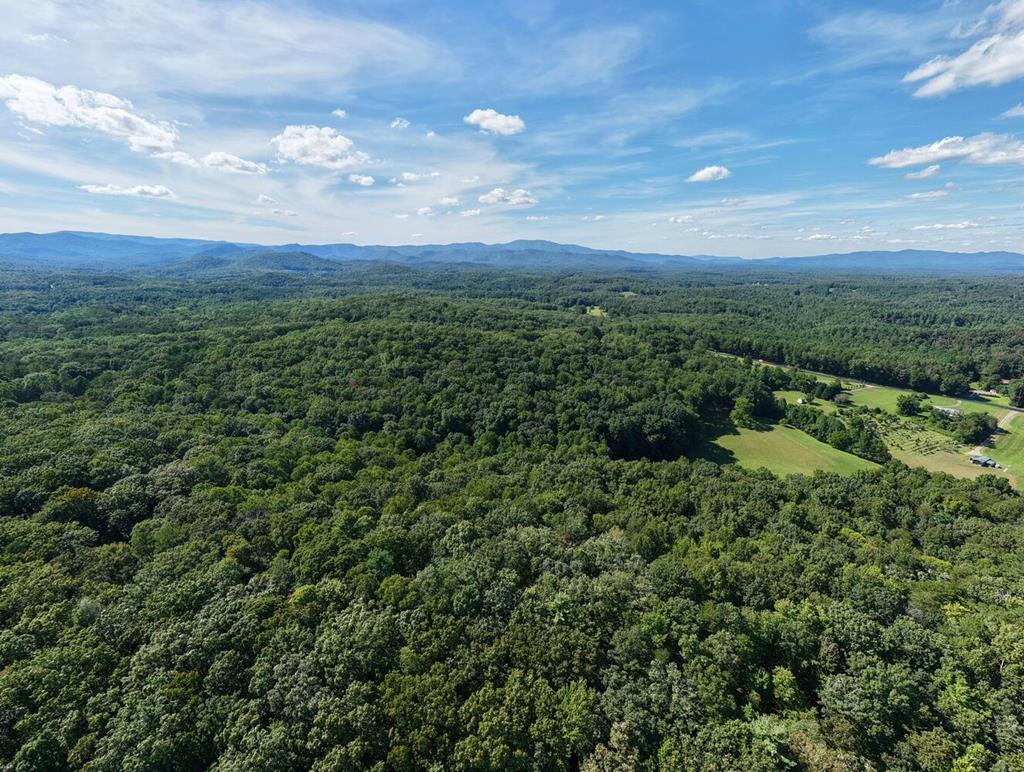 2 Blue Ridge Blue Ridge, GA 30513 - Photo 26 of 31 Gallery Image 26