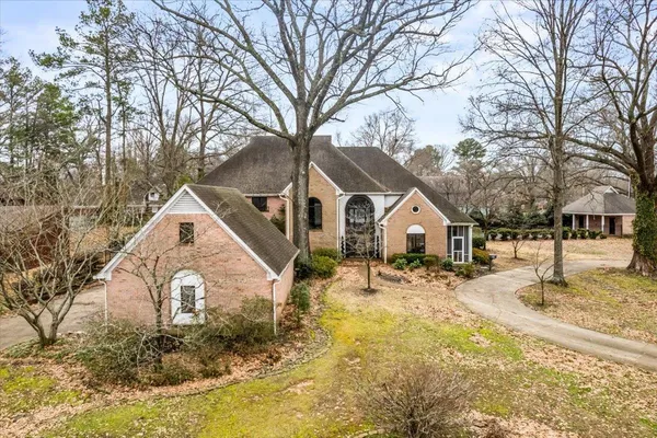 a view of a yard in front of a house with a large tree