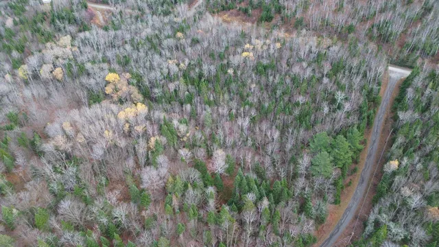 $17,900 | M25-l33c Pelletier Road, Madawaska, ME 04756