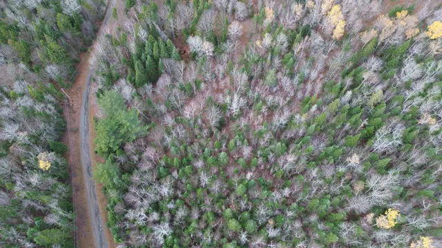 $17,900 | M25-l33c Pelletier Road, Madawaska, ME 04756